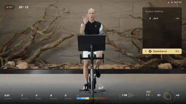 אימון אינטראקטיבי