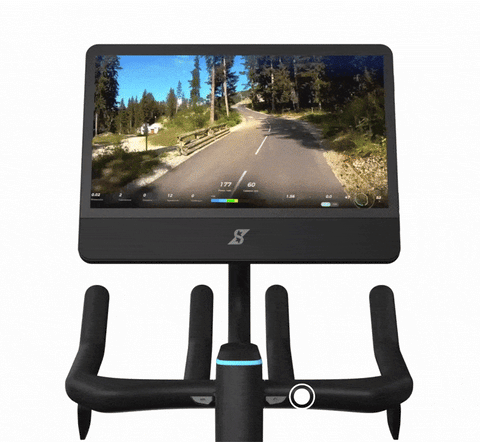 שליטה מלאה באימון